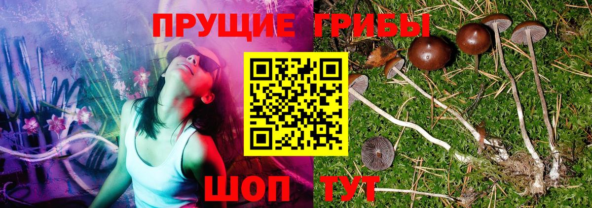 Галлюциногенные грибы MAGIC MUSHROOMS  Псилоцибиновые грибы прущие грибы  Саяногорск  купить наркотик  Вход с VPN 